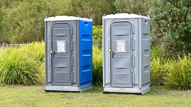 Best Portable Toilets with Baby Changing Stations  in Tainter Lake, WI